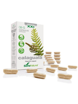 Soria Natural 8-S Calaguala 310 mg 30 Capsules à Libération Prolongée